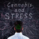 Cannabis Stress