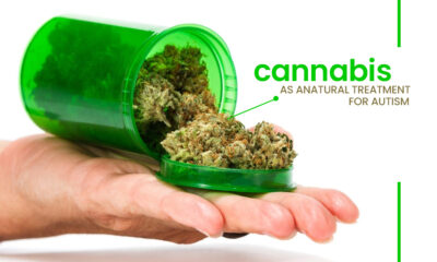Cannabis Natural Treatment for Autism