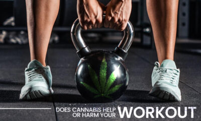 Cannabis Help Or Harm Your Workout