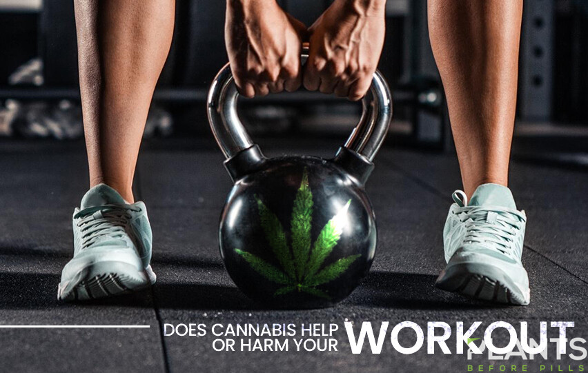 Cannabis Help Or Harm Your Workout