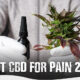 CBD for Pain 2022