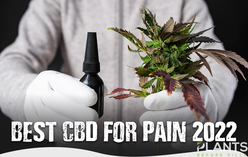 CBD for Pain 2022