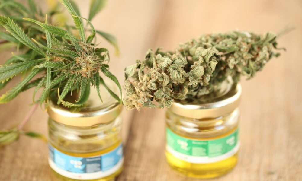 CBD Trends in 2022