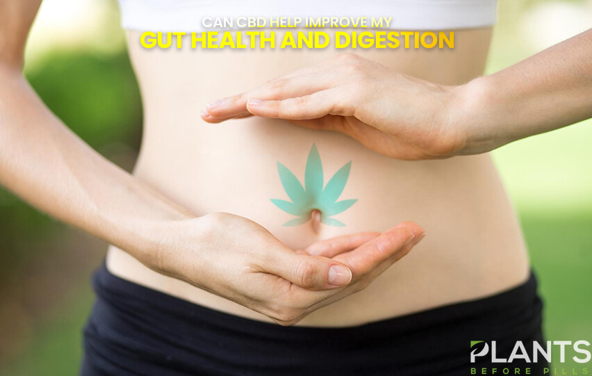 CBD Help Improve My Gut Health And Digestion