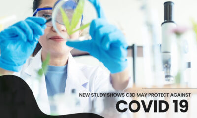 study shows CBD may protect against COVID-19