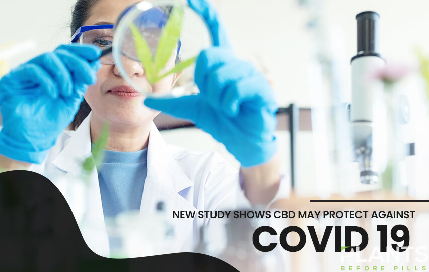 study shows CBD may protect against COVID-19