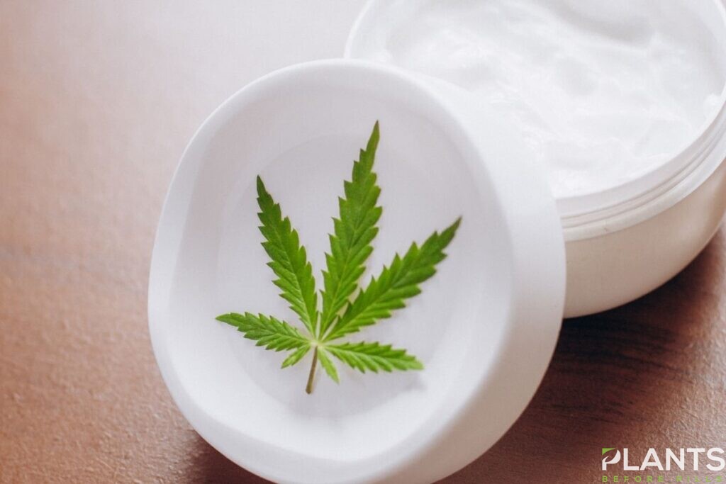 Choosing the Right CBD Topical