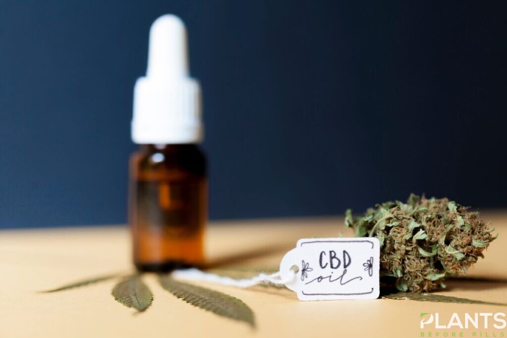 Why Our Grandparents Should Add CBD Oil to Their Lifestyle