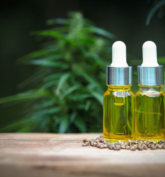 Top 5 Science-Backed Health Benefits of CBD Oil