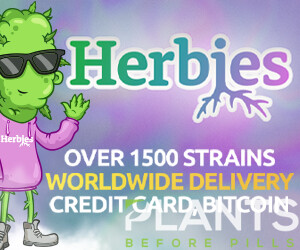 Herbies Headshop